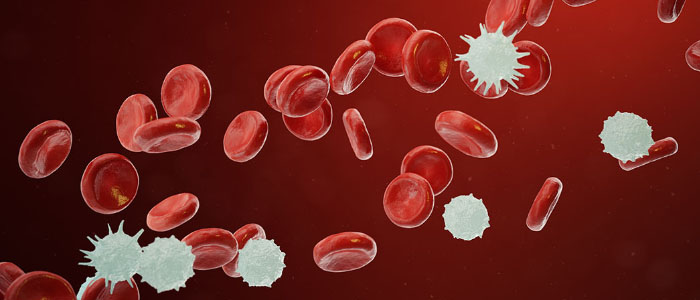 blood cancer treatment